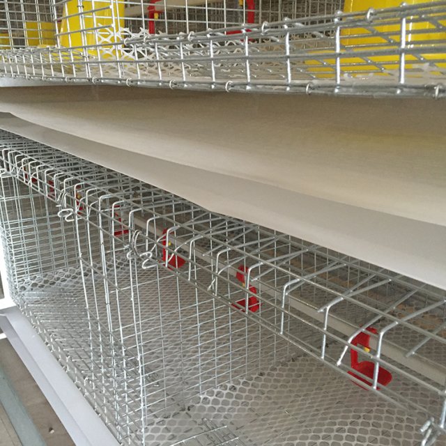 3000 mm breite PP-Gefl&uuml;gelmist-F&ouml;rderb&auml;nder